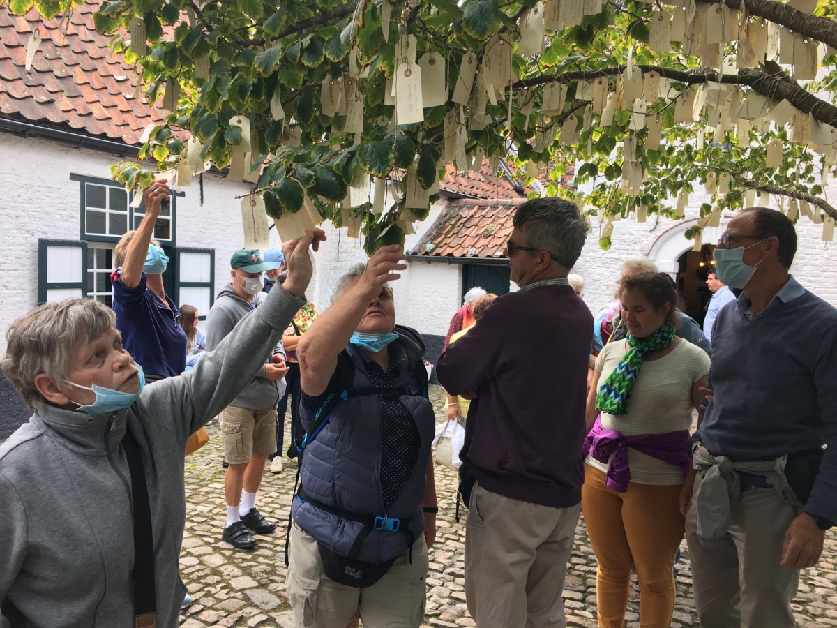 Kunstwerk Wish Tree in Kortrijk met allemaal wensbriefjes in