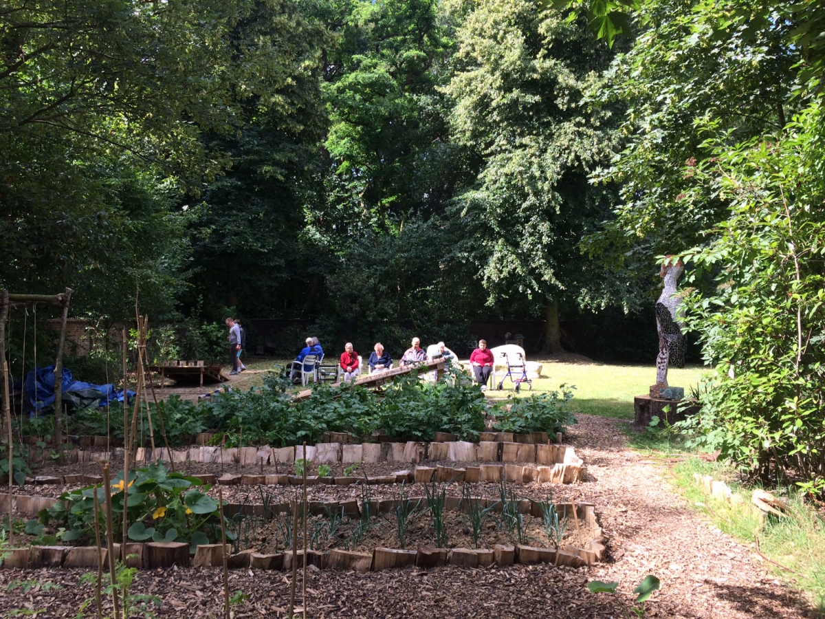 Overzicht van de moestuin