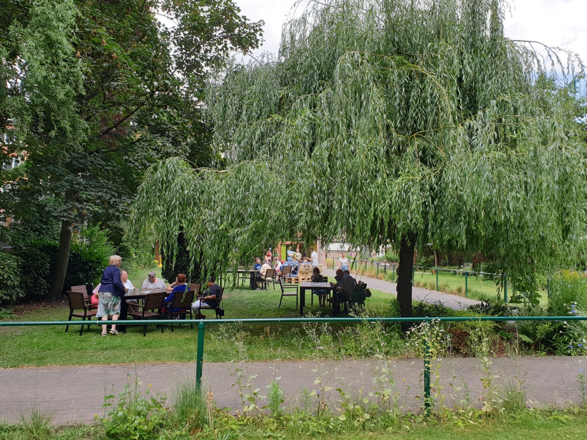 Overzicht van de Zomertuin